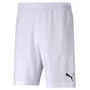 Shorts Puma Teamrise Masculino 704942-03