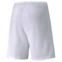 Shorts Puma Teamrise Masculino 704942-03