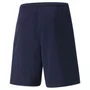 Shorts Puma Teamrise Masculino 704942-06