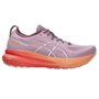 Tênis Asics Gel Kayano 31 Feminino 1012B670-700