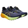 Tênis Asics Gel Kayano 31 Masculino 1011B867-403