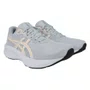 Tênis Asics Raiden 5 Feminino 1012C048-020